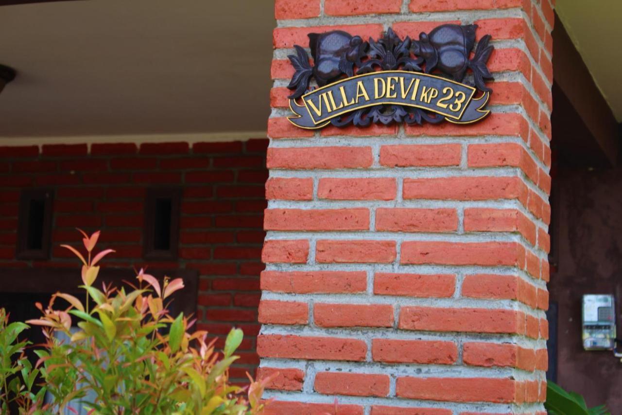 Villadevi بانجانداران المظهر الخارجي الصورة